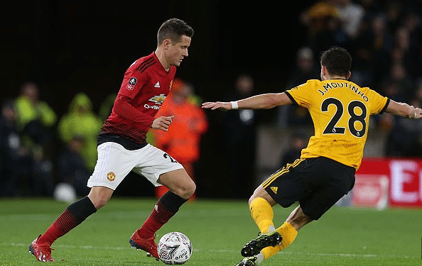 金引进帕利 金引进帕利