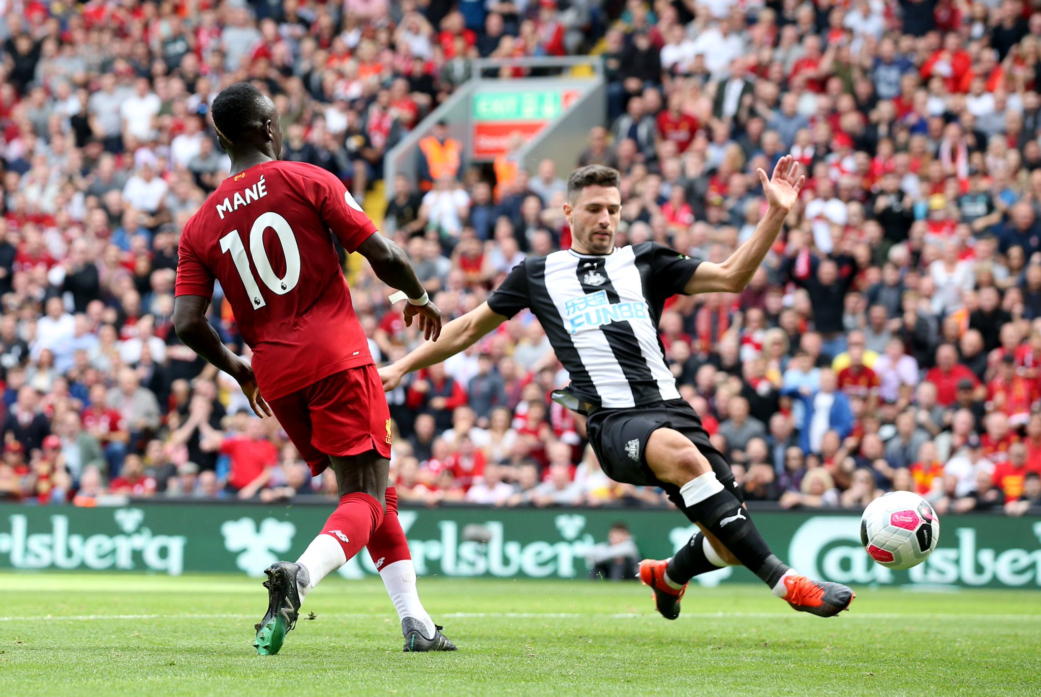 罗斯的职业 罗斯的职业