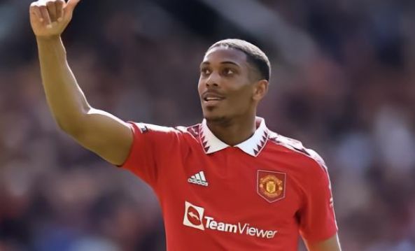 约条款不仅 约条款不仅